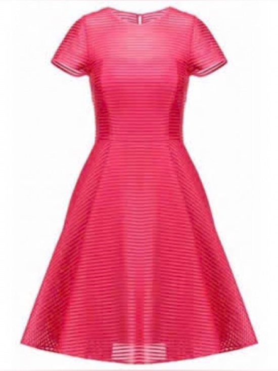 Ted Baker London Dresses & Skirts - Ted Baker Illusion Stripe Fit & Flare Dress NWOT Sz 2